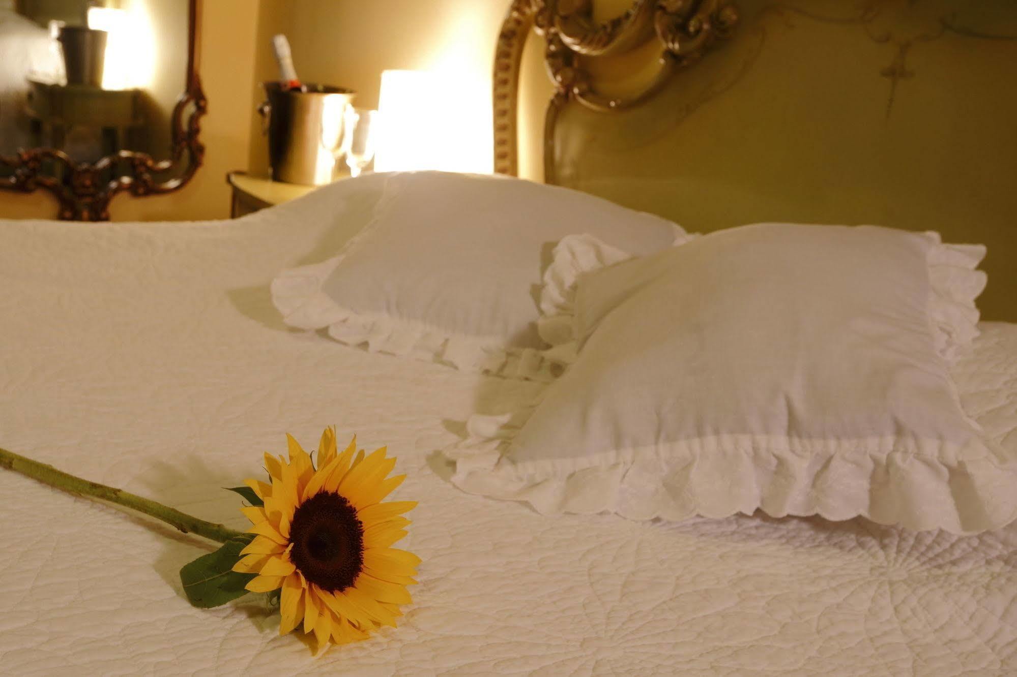 Bed & Breakfast - La Casa De Ceci リマ エクステリア 写真